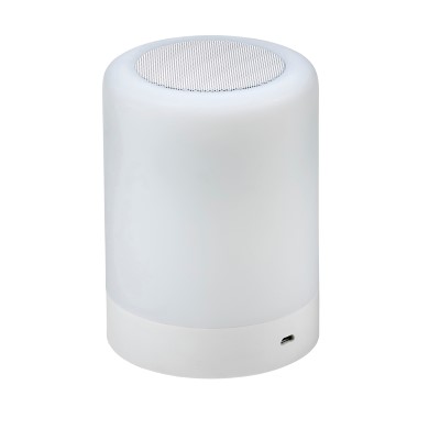 Enceinte sans fil 3W