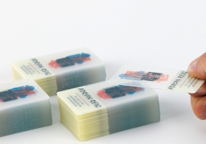 550 impression carte de visite transparente suisse geneve