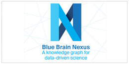 Réference infiniprinting.ch Blue Brain